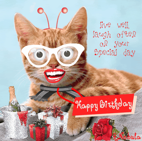 [img width=498 height=494 cacheid=0007fd480015bb8484fb3f0910028fa187]http://i226.photobucket.com/albums/dd24/agnesamine/cute03-1.gif[/img]