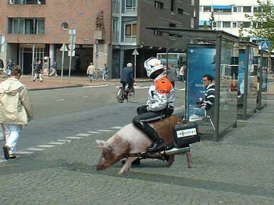 [img cacheid=0008b2630007d53cf21bd5ec1a00071a8f]http://80.84.229.168/2002/juli/politie_twente.jpg[/img]