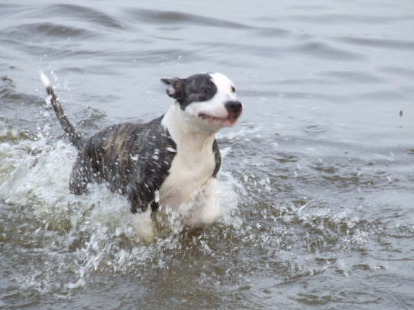 [img width=600 height=450 cacheid=0008c79f00244f90c7054e5c1a017a259a]http://tk.files.storage.msn.com/x1pNWjjkHJ3o_wh5PAjTyx33ApwOkVZ6J498i1EitZiM20qBXqL9YYPPe0IGp8FWKf7QafDFsCbhri7xiu4XivDvt7xp0E7u6UQ7g2uiRC7NXTvovsxKvER1NkN5u8hFT_fxTMX_TXR4pk[/img]