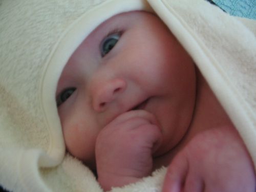 [img width=500 height=375 cacheid=0008e9f000191409defeb08d1a00e4277f]http://www.mijnalbum.nl/Foto=I6E3XU47[/img]