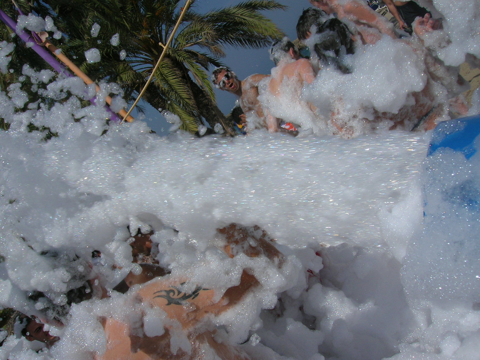 [img width=640 height=480 cacheid=0009841e001b2824f75e440a1a00dfdcc7]http://img348.imageshack.us/img348/1386/dscn09612ny.jpg[/img]