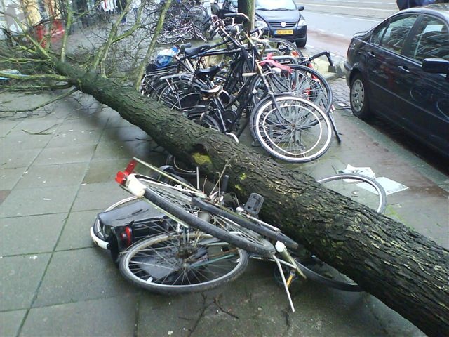 [img width=640 height=480 cacheid=00099cfa001b7bd3a9c54ac11a01bcc128]http://www.geenstijl.nl/feauteaufuck/manches/63/images/1c7c60d12d8c994a7f1a6c68b99c26c457133.jpg[/img]