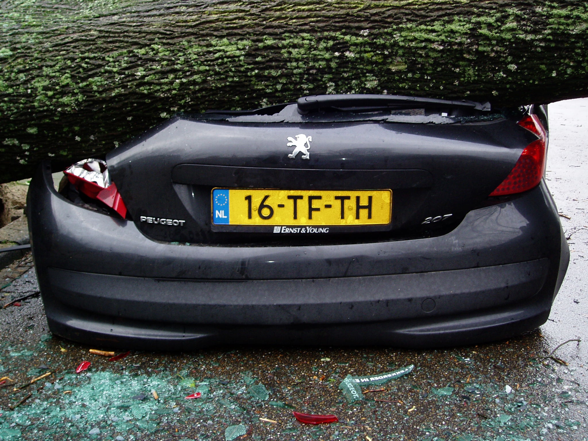 [img width=640 height=480 cacheid=00099d01001b7bf46ddf96a31a01bcc2d0]http://www.geenstijl.nl/feauteaufuck/manches/63/images/2d87f2383ec19896eacd6598f0c545d772281.jpg[/img]