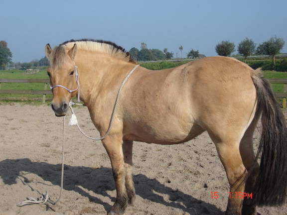 [img width=576 height=432 cacheid=000aa533001eddc6e41128101a010ecccd]http://i10.photobucket.com/albums/a140/naadjuh/DSC00486.jpg[/img]