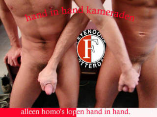 [img width=320 height=239 cacheid=000ba80800226e35a425f2421a014abcec]http://img371.imageshack.us/img371/9145/homosllopenhandinhand9oe.jpg[/img]