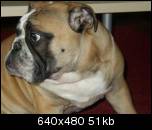 [img width=152 height=130 cacheid=000bbf500021d293a384c2c51a013e284f]http://img91.imageshack.us/img91/2319/p1010015small7qu.th.jpg[/img]