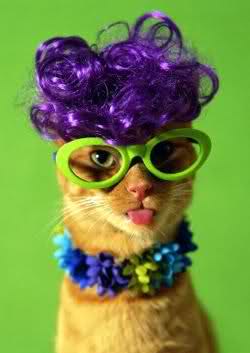 [img width=250 height=353 cacheid=000c48cb00235b1e547f7a1d1a0161921c]http://i3.tinypic.com/wwnn6q.jpg[/img]