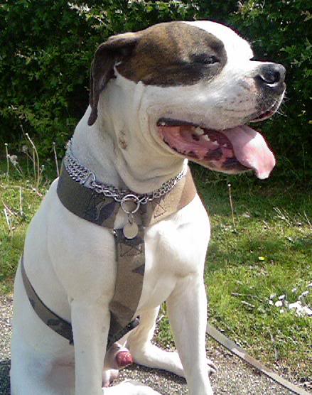 [img width=439 height=556 cacheid=000c5e7200239b3eee3eb6dc1a0168d31c]http://i3.photobucket.com/albums/y67/maula/zomer.jpg[/img]