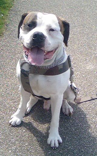 [img width=320 height=510 cacheid=000c5e7500239b4d6cabd6361a0168d31c]http://i3.photobucket.com/albums/y67/maula/zomer1.jpg[/img]