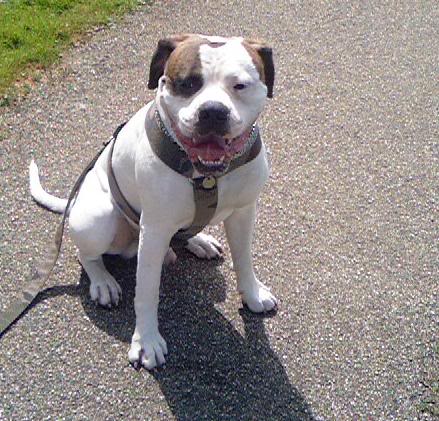 [img width=439 height=421 cacheid=000c5e7a00239b562b0bace61a0168d31c]http://i3.photobucket.com/albums/y67/maula/zomer2.jpg[/img]