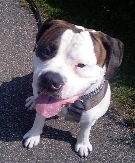 [img width=444 height=537 cacheid=000c5e7f00239b5e166b85561a0168d31c]http://i3.photobucket.com/albums/y67/maula/zomer3.jpg[/img]