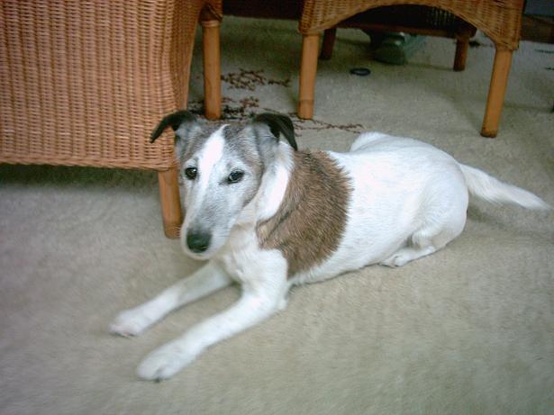 [img width=615 height=461 cacheid=000c74ca0023dc9e3c02cc181a016fdced]http://img268.imageshack.us/img268/3628/im0005194hg.jpg[/img]