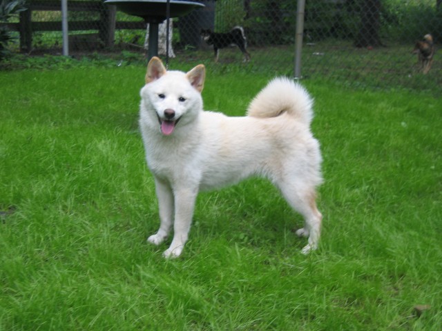 [img width=640 height=480 cacheid=000cc0ac0024b35f2cb5a9511a019edf05]https://partyflock.nl/images/album/760108.jpg[/img]