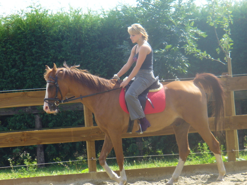 [img width=640 height=480 cacheid=000cd0e70024e004a35b405f1a018b06bf]http://img244.imageshack.us/img244/3263/p1010291ml6.jpg[/img]