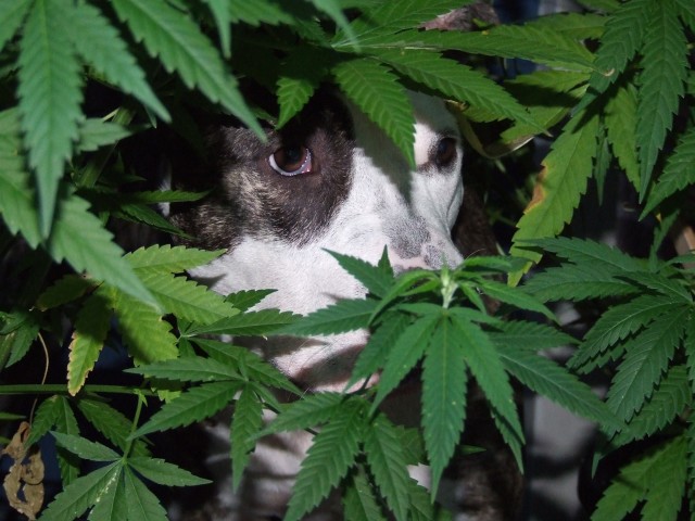 [img width=640 height=480 cacheid=000cd55d0024eb8045fd3ba21a018c56b4]https://partyflock.nl/images/album/1055029.jpg[/img]