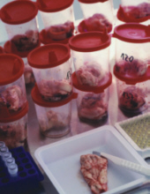 [img width=170 height=220 cacheid=000d11510025904a4c8c0dba1a019f8606]http://www.spectroscopynow.com/ftp_images/BSE%20testing.jpg[/img]