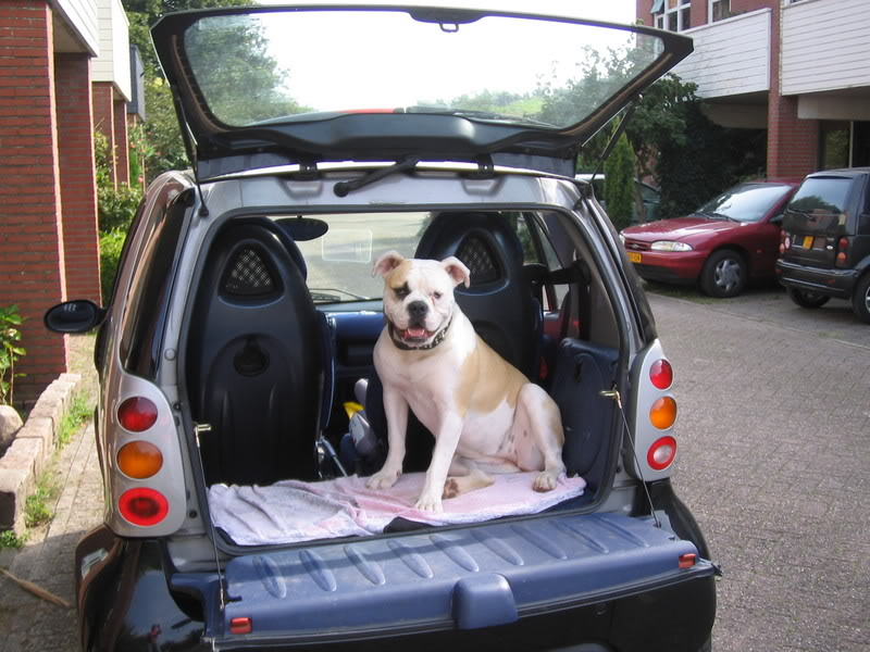 [img width=640 height=480 cacheid=000d150300259a583ed1e3c51a01a10a94]http://i37.photobucket.com/albums/e59/mirandamike/diversen106.jpg[/img]