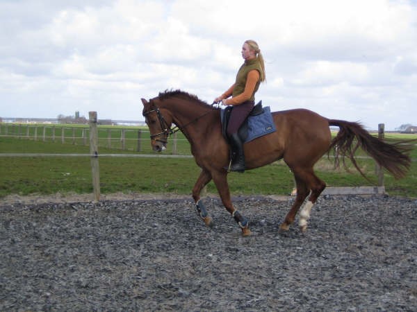 [img width=600 height=450 cacheid=000d28830025cffa719ebd481a01a7b110]https://partyflock.nl/images/album/2039287.jpg[/img]