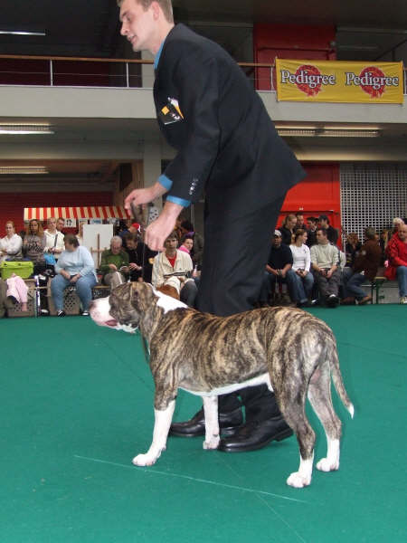 [img width=450 height=600 cacheid=000d375a0025f99bdceb9d6e1a01abe952]http://tkfiles.storage.msn.com/x1piYkpqHC_35n-UQvSZuLiEIG0KCC9IIcbRkSr4EDo5_LkEmu_YyXOvyRLa4ZZuwYlZCWpXfF3aHw3RJDXCmtxt3q9Cvn939dd7EIXMh4aJil3xDXHxVALnw[/img]