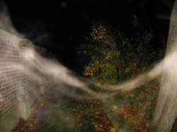 [img width=250 height=187 cacheid=000d557600264c220ff706cc1a01b4378e]http://www.jhk1.nl/page/vrpics/kl-foto106.jpg[/img]