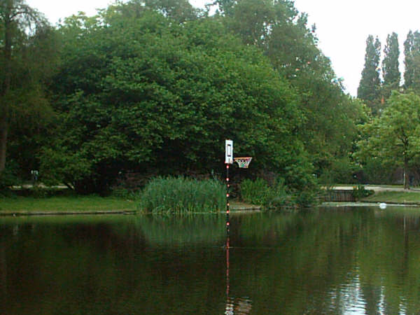 [img width=600 height=450 cacheid=000d87cf0026d2f0824be1361a01c21f30]http://img396.imageshack.us/img396/5989/x1pxoywqu4sjf4486l7rt85bi3.jpg[/img]