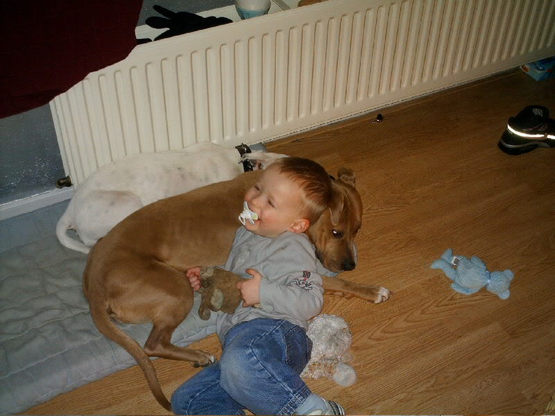 [img width=640 height=480 cacheid=000d91a50026e9c5bf05ca331a01c4efc8]http://i16.photobucket.com/albums/b43/hchooli2/allerlei009.jpg[/img]