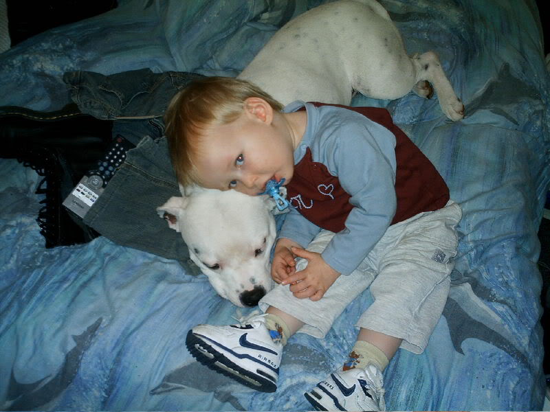 [img width=640 height=480 cacheid=000d91b20026e9e7ce0c5ccb1a01c4f06d]http://i16.photobucket.com/albums/b43/hchooli2/igorpatopbed.jpg[/img]