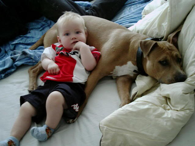 [img width=639 height=479 cacheid=000d91b60026e9f6a309c24c1a01c4f0da]http://i16.photobucket.com/albums/b43/hchooli2/Afbeelding038.jpg[/img]