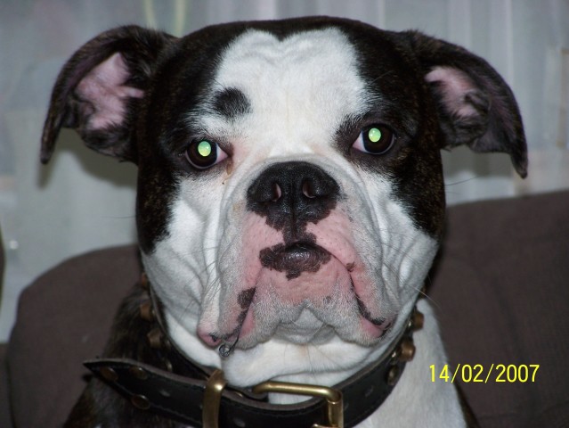 [img width=639 height=480 cacheid=000da4c500271ab656467a301a01cab1b1]https://album.partyflock.nl/6541770.jpg[/img]