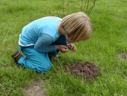 [img width=408 height=307 cacheid=000dfd5100280340cd640e321a01e55105]http://www.bodem.nu/algemeen/leerkrachten/illustraties/images/Molshoop.jpg[/img]