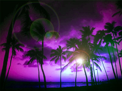 [img width=400 height=300 cacheid=000ec9ba0029fbe764df9d2f1a021a8d87]http://www.nopanique.ch/images/palme2_lila.jpg[/img]