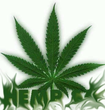 [img cacheid=000edebb002a290c8a1bf5f01e000704cb]http://www.concept420.com/marijuana-pictures/data/media/7/hemp_leaf.jpg[/img]