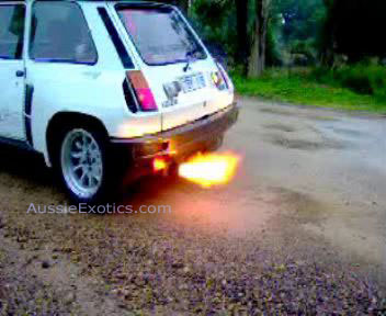 [img width=352 height=288 cacheid=000f33eb002aebaeebc881331a0232def4]http://aussieexotics.com/wp-content/uploads/2006/12/rt5flame02.jpg[/img]