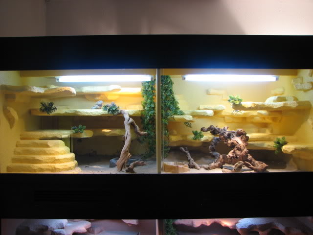 [img width=640 height=480 cacheid=000f4d84002b24a8dc9b8f851a023717e4]http://i123.photobucket.com/albums/o292/petervanwelij/IMG_1737.jpg[/img]