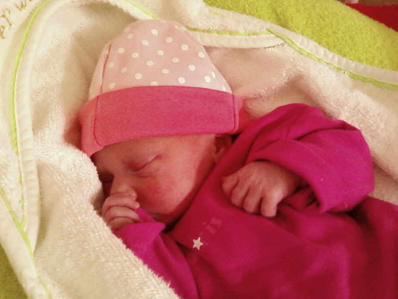 [img width=640 height=480 cacheid=000f5eec002b4950f306ff151e00083bde]http://i56.photobucket.com/albums/g195/FlipAkaSjoerd/SP_A0534.jpg[/img]