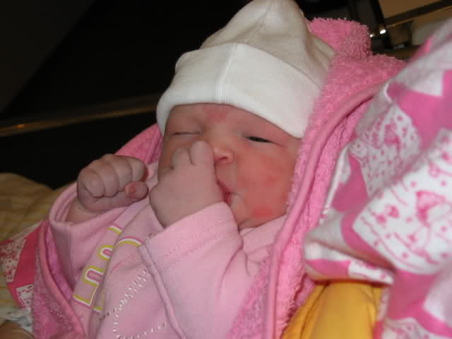 [img width=640 height=480 cacheid=000fa893002be36b92b009db1e000978cc]http://i9.tinypic.com/6agx3ia.jpg[/img]