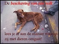 [img width=200 height=150 cacheid=000fbe76002c112e707ed71e1e000a0f8a]https://album.partyflock.nl/68407063.jpg[/img]