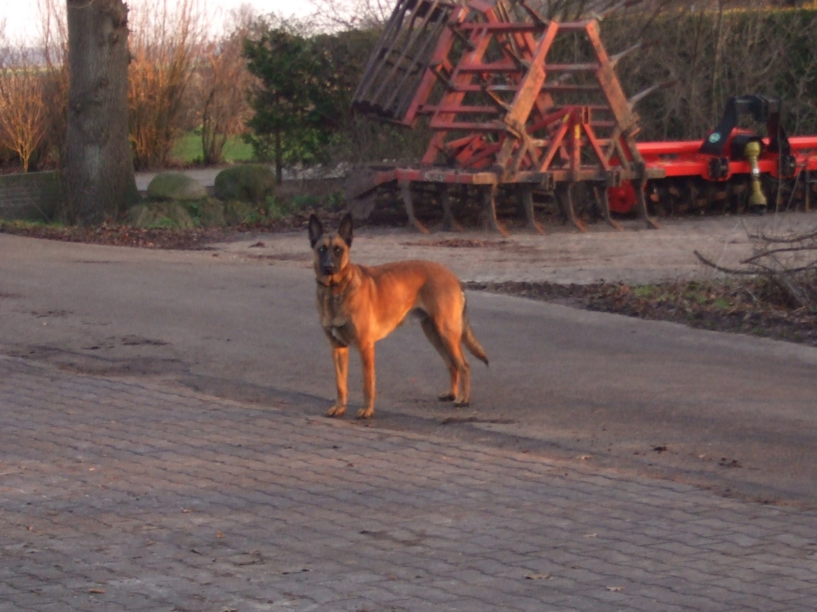 [img width=1024 height=768 cacheid=000fdedd002c50bcbe2657381e000b36ff]http://img70.imageshack.us/img70/5872/afbeelding303zt9.jpg[/img]