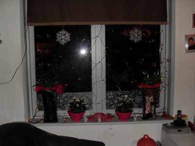 [img width=400 height=300 cacheid=00103c81002d039f9acaa1c51a02647ab8]http://zulma.powerhost.be/dhforum/albums/userpics/normal_dec_12_051.JPG[/img]