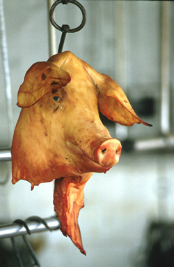 [img width=250 height=382 cacheid=0010411b002d0baf10b4e58d1a0266227d]http://www.foodlog.nl/images/uploads/varkenskop-met-oog.jpg[/img]