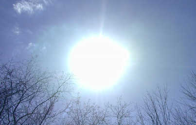 [img width=456 height=418 cacheid=001059c6002d372721fbdf0e1a026f9ff2]http://img115.imageshack.us/img115/8751/fel8in.jpg[/img]