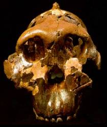 [img width=210 height=250 cacheid=00106dff002d5953e8a2708c1a02765a0b]http://www.spreekbeurten.info/nedere7.jpg[/img]