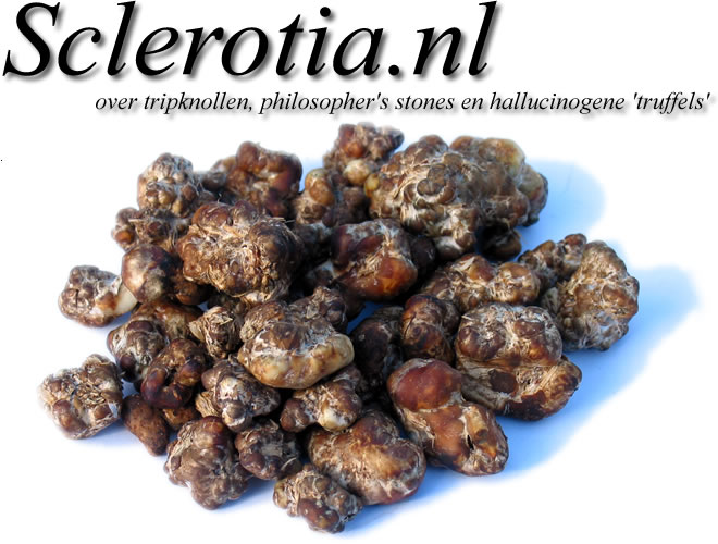 [img width=660 height=500 cacheid=001097ab002da2fbd1da8e161a028331a8]http://www.sclerotia.nl/sclerotia/images/tripknollen_sclerotia_top.jpg[/img]