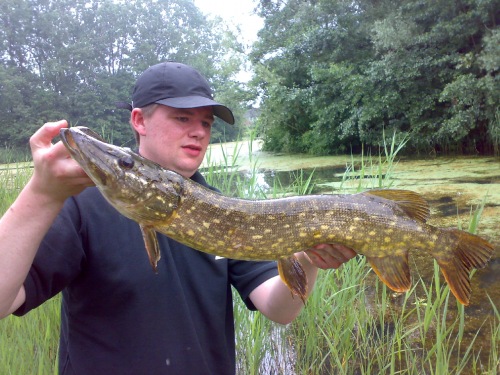 [img width=500 height=375 cacheid=0010a048002db137be8a01251a02860da8]http://www.mijnalbum.nl/Foto-KF8URHJH.jpg[/img]