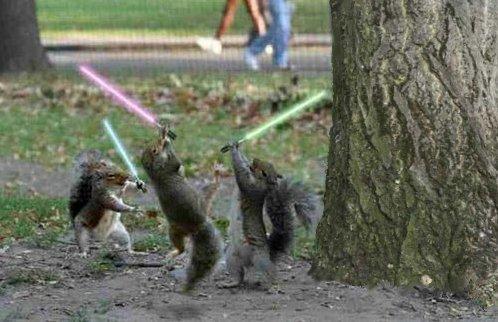 [img width=498 height=322 cacheid=0010cb3d002df4f16b19d68a1a0291cf29]http://othersideoftheplanet.com/wp-content/uploads/jedi_squirrel.jpg[/img]