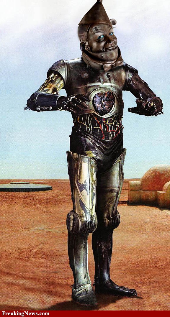 [img width=500 height=936 cacheid=0010cb43002df4f681eec1281a0291cf64]http://www.freakingnews.com/pictures/61000/C3PTINMAN--61328.jpg[/img]