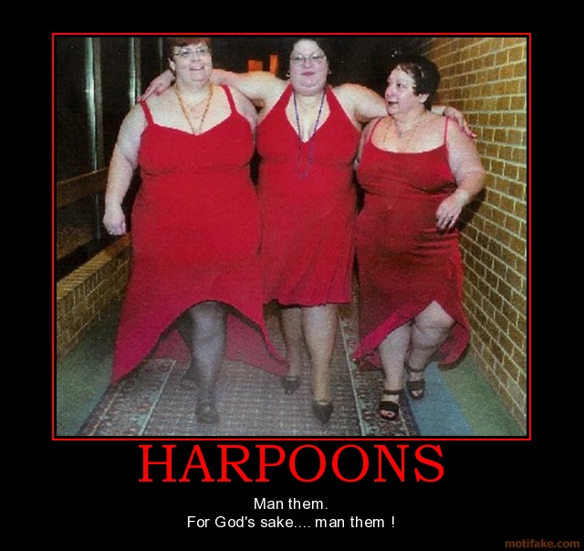 [img width=640 height=603 cacheid=001113e7002e64c91b3593ae1a02a50f7c]http://www.motifake.com/image/demotivational-poster/0805/harpoons-demotivational-poster-1210757479.jpg[/img]