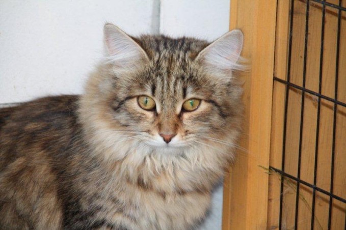 [img width=679 height=452 cacheid=001148e3002eb111fd7e4b3f1a02adfef4]https://album.partyflock.nl/78185909.jpg[/img]