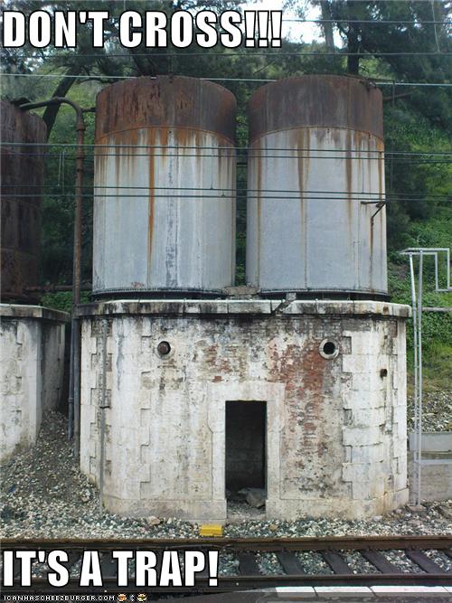 [img width=500 height=667 cacheid=001170c7002ee67d62d8bb281a02b4c365]http://chzhappychairishappy.files.wordpress.com/2010/09/lola.jpg[/img]