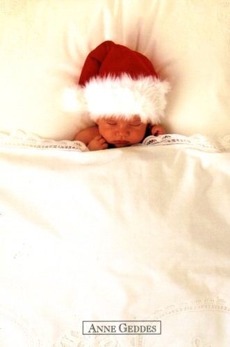 [img width=331 height=500 cacheid=0012b1bf0002a4e900554d791000f990dd]http://www.andrea-schroeder.com//nimmm2/christmas/geddes422.jpg[/img]